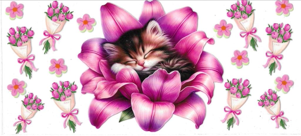 Kitten Pink Flower Bed