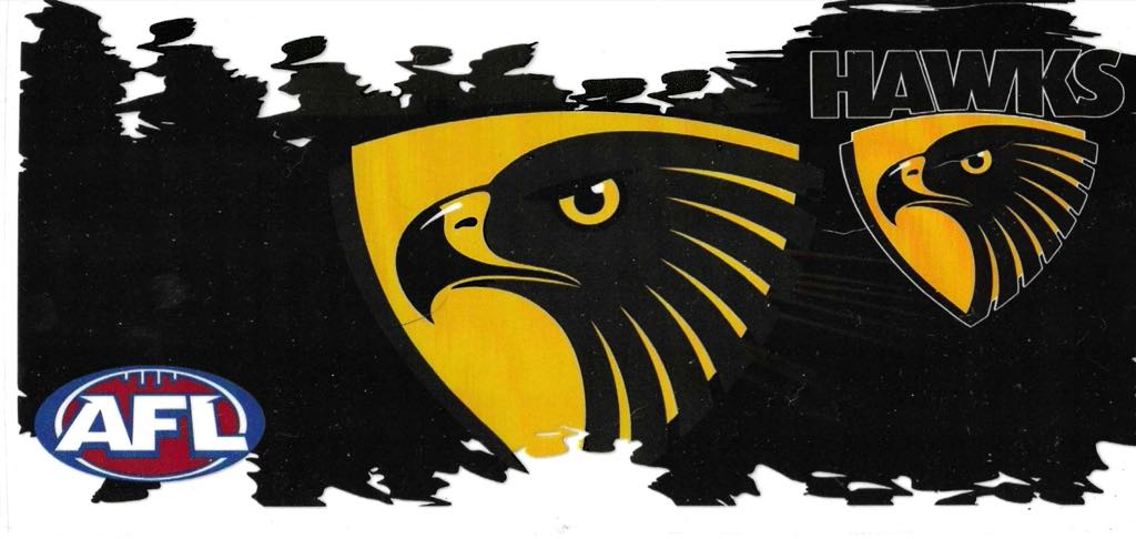 AFL HAWKS