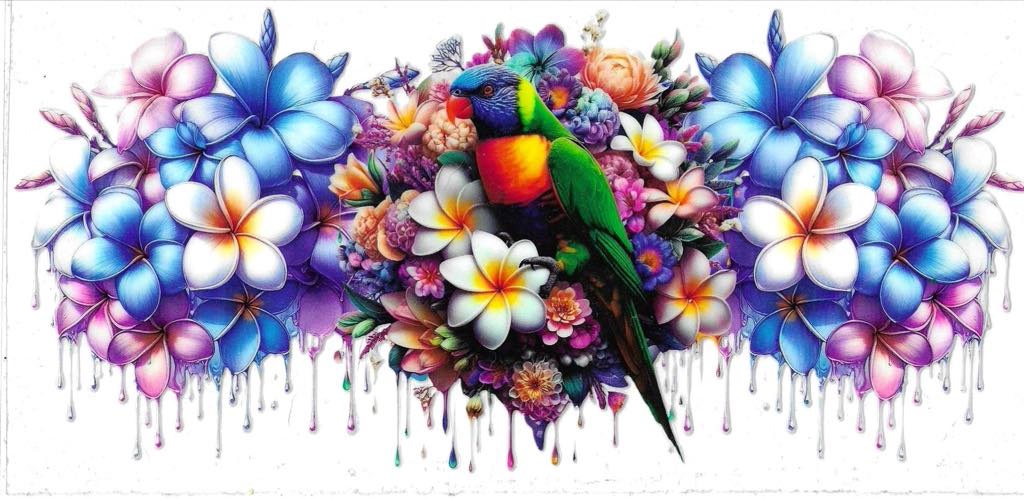 Rainbow Lorikeet
