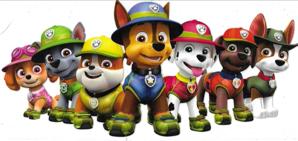 Paw Patrol Team