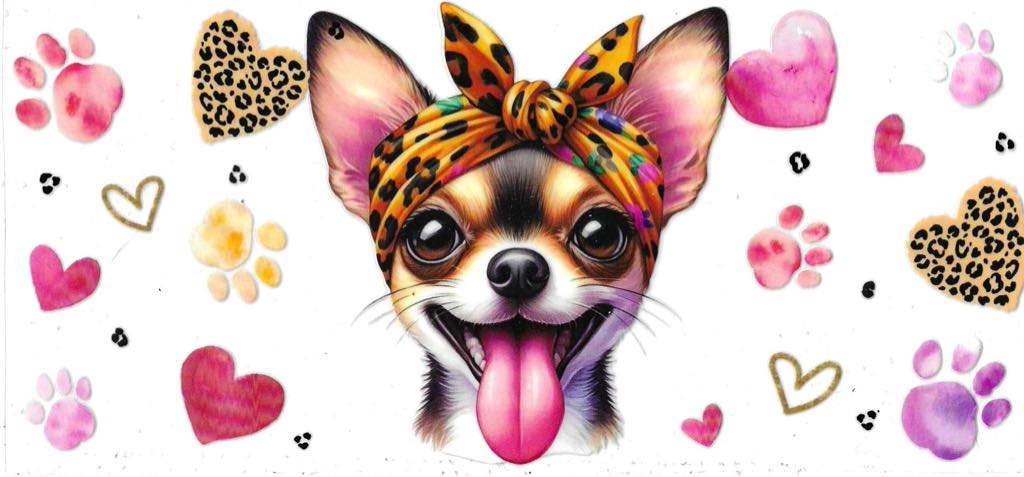 Chihuahua Love