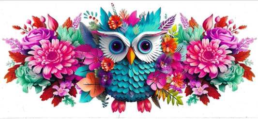 Colourful Owl