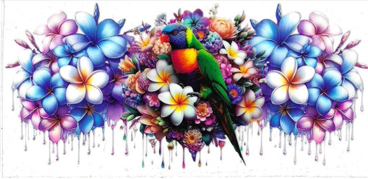 Rainbow Lorikeet