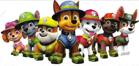 Paw Patrol Team
