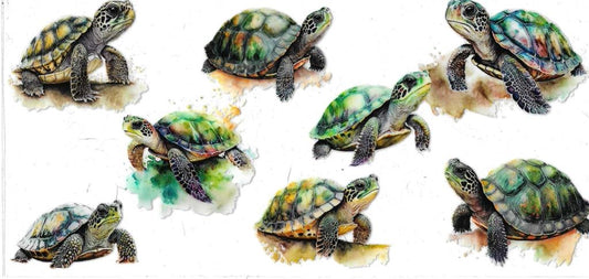 Turtles